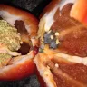 Kroger - produce - Photo 1