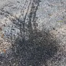 Coles Supermarkets Australia - oil spill from coles delivery truck on private property - Photo 1