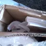 Homechoice - pathetic customer service - Photo 6