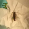 Super 8 - super 8 roaches, lies about wifi & jizz stains. - Photo 2