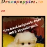 Deans Puppies - puppy purchase