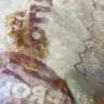 Del Taco - epic carnitas burrito - Photo 2