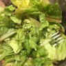 Coles Supermarkets Australia - a coles caesar salad - Photo 2