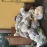Panera Bread - drive through - Photo 1