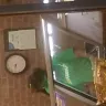 Subway - mold on tomatoes and rude employees - Photo 1