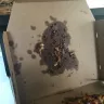 Domino's Pizza - handmade pan pizza bbq sauce pepperoni bacon - Photo 1