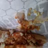 Sheetz - food/hot dog - Photo 1