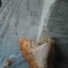 Carl's Jr. - big chicken sandwich - Photo 1