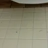 Burger King - lack of cleanliness - Photo 1