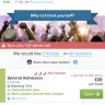 Viagogo - ticket price