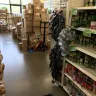 Dollar Tree - store conditions.. lafayette, indiana.. creasy ln.. 47905 - Photo 10