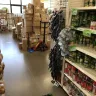 Dollar Tree - store conditions.. lafayette, indiana.. creasy ln.. 47905 - Photo 6