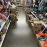 Dollar Tree - store conditions.. lafayette, indiana.. creasy ln.. 47905 - Photo 8