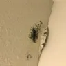 Motel 6 - multiple health hazards found in room - Photo 1
