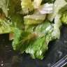 Wendy’s - caesar salad