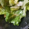 Wendy’s - caesar salad - Photo 1