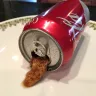 Coca-Cola - foreign matter in coke can - Photo 1