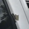 Bob King Kia - 2013 gmc sierra flaking paint front windshield & other areas
