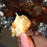 Domino's Pizza - food complaint - Photo 2
