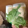 Panera Bread - quality of lunch (tuna) - Photo 1