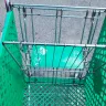 Dollar Tree - shopping carts