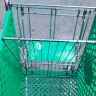 Dollar Tree - shopping carts - Photo 2