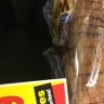 Kroger - store in terre haute. j981 east wabash ave. - Photo 3