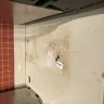 Panera Bread - cleanliness - Photo 2