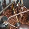 American Home Shield [AHS] - customer service and workmanship - Photo 1