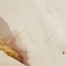 Domino's Pizza - hair in my pizza - Photo 1