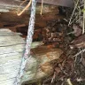 Florida Power & Light [FPL] - rotten top and bottom pole with transformer - 2 years reporting multiple visits no action