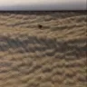 Motel 6 - dirty rooms, unprofessional staff - Photo 1