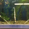 Meijer - fish department - Photo 3