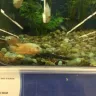 Meijer - fish department