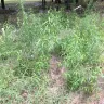 Thousand Trails - water leak at annual site - Photo 2