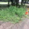 Thousand Trails - water leak at annual site - Photo 3