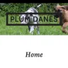 Plum Danes / Jessica Garrett - great dane so called breeder - Photo 1