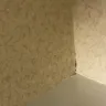 Choice Hotels - sleep inn at rehoboth beach de - Photo 4