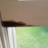 Andersen Windows & Doors - Anderson vinyl clad double hung windows rotting in bottom corners - Photo 1