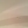General Electric - 4 year old ge dishwasher - Photo 2