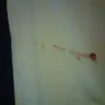 Motel 6 - motel 6. 812 dunn ave jacksonville florida 32218 - Photo 3