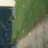Dollar General - trash in my driveway - Photo 1