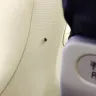 AirAsia - un hygiene flight. - Photo 1