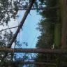 Florida Power & Light [FPL] - fpl has not attempted to repair power - Photo 1