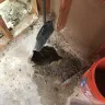 American Home Shield [AHS] - last service for my pipe leak - Photo 1