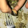 Chipotle Mexican Grill - food - Photo 1