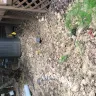 Washington Gas / WGL Holdings - incomplete excavation and remediation of property damage - Photo 4