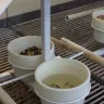 Petco - treatment of animals - Photo 1