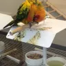 Petco - treatment of animals - Photo 2