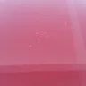 KIA Motors - having burned smudged mark after bird dropping and kia representative informed me its owner negligence. - Photo 1